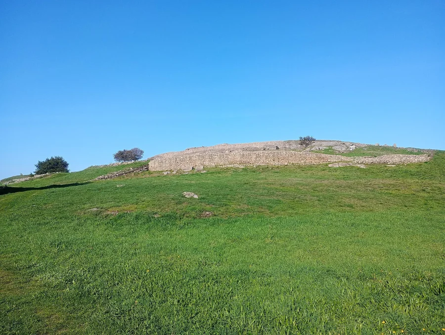 Castro de Elviña