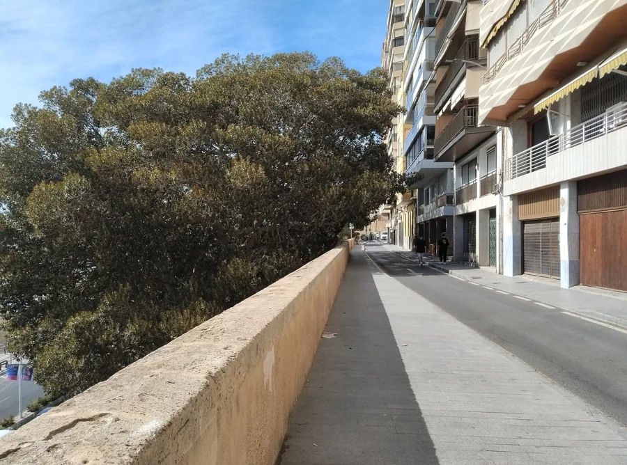 Barrio del Raval Roig-Virgen del Socorro