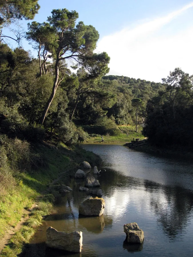 Lámina de agua del Pantà de Vallvidrera rodeada de vegetación en Collserola