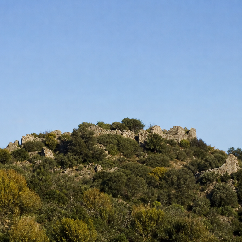 Restos de mampostería del Castillo de Viandar en Belmez entre la vegetación