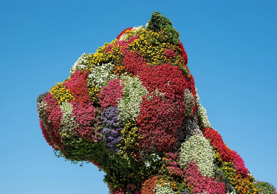Museo Guggenheim Bilbao