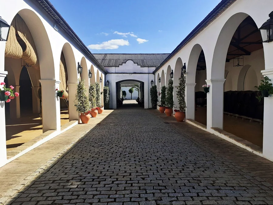 Visitas y catas en Pérez Barquero: Los Amigos, Flor del Vino y Gran Barquero