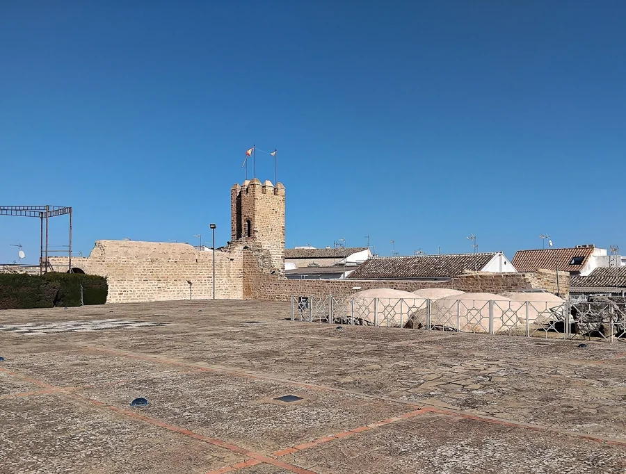 De la aceituna al AOVE: visita a la almazara