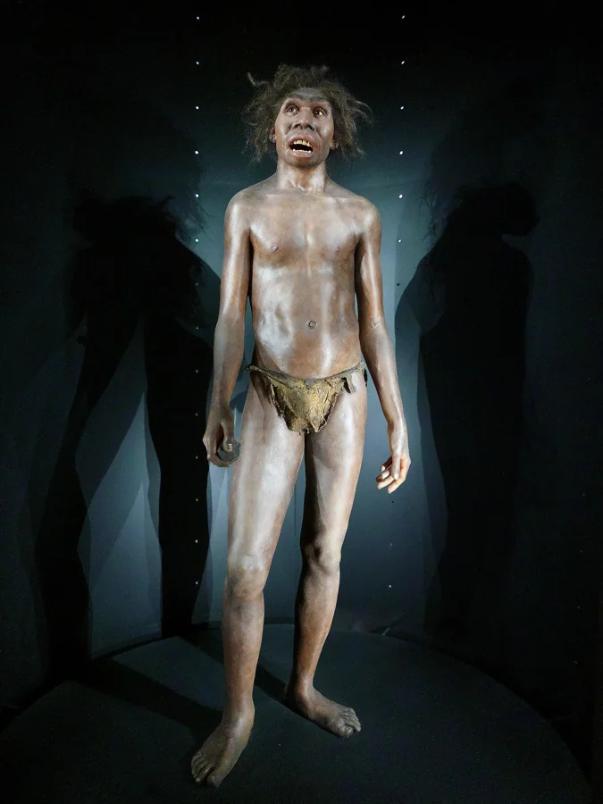 Galería de la Evolución y popa del Beagle en el Museo de la Evolución Humana de Burgos