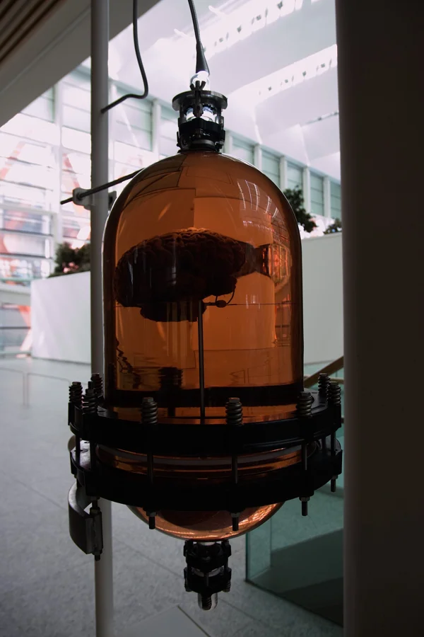 Cerebro de cables de Daniel Canogar en el Museo de la Evolución Humana de Burgos