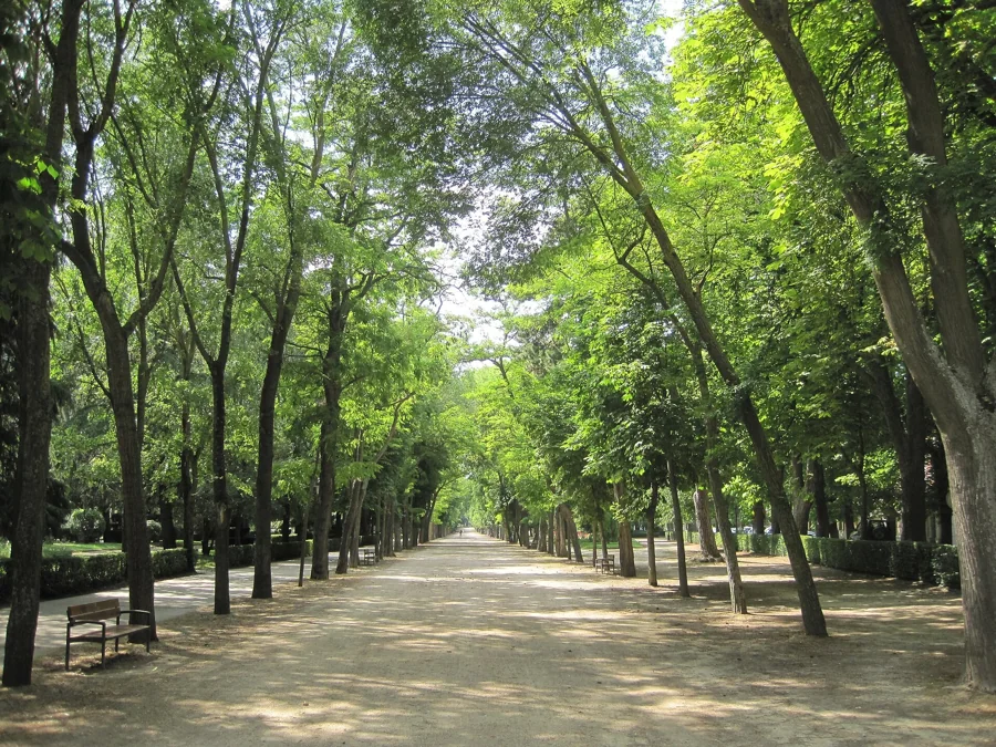 Paseo de la Isla