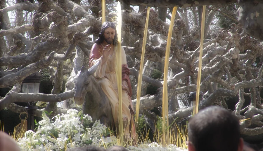 Procesión de las Palmas en la Plaza Mayor de Burgos, Domingo de Ramos