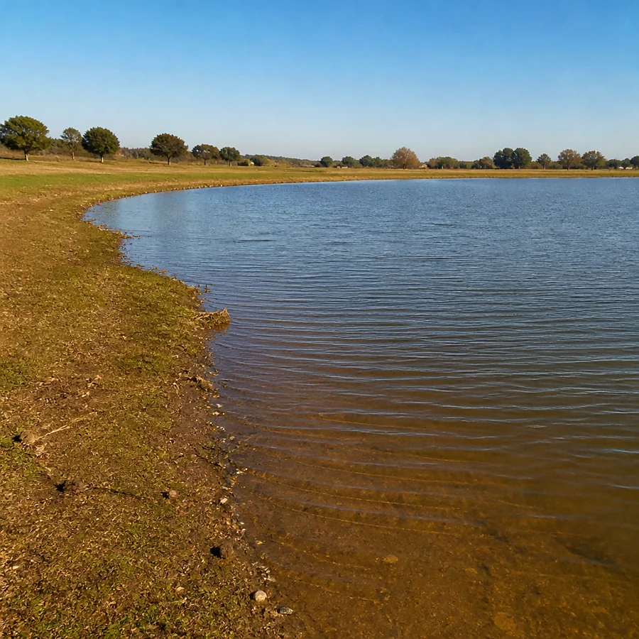 Recreación ilustrativa: Laguna de Santo Domingo