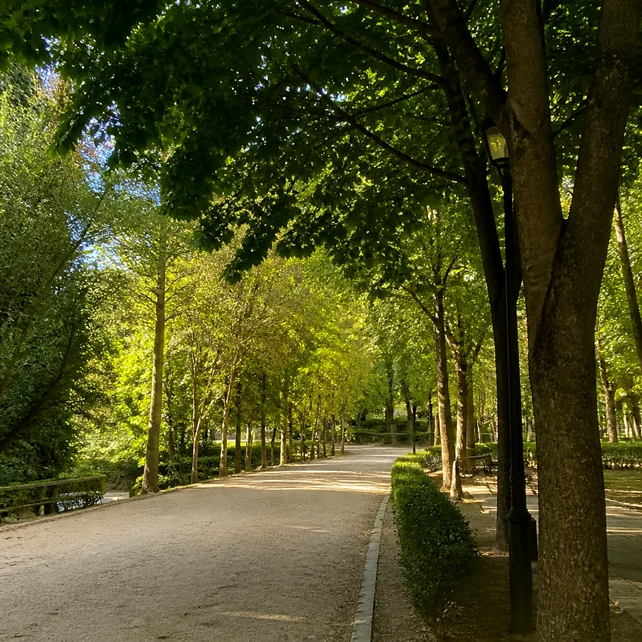 Recreación ilustrativa: Parque de Santa Ana en Cuenca, verbenas y actividades infantiles de la feria