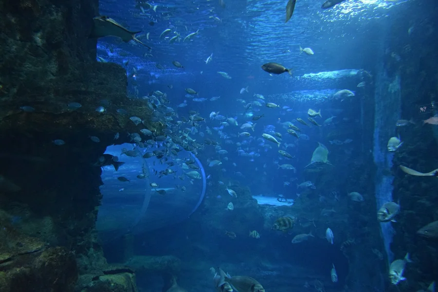 Aquarium Donostia-San Sebastián