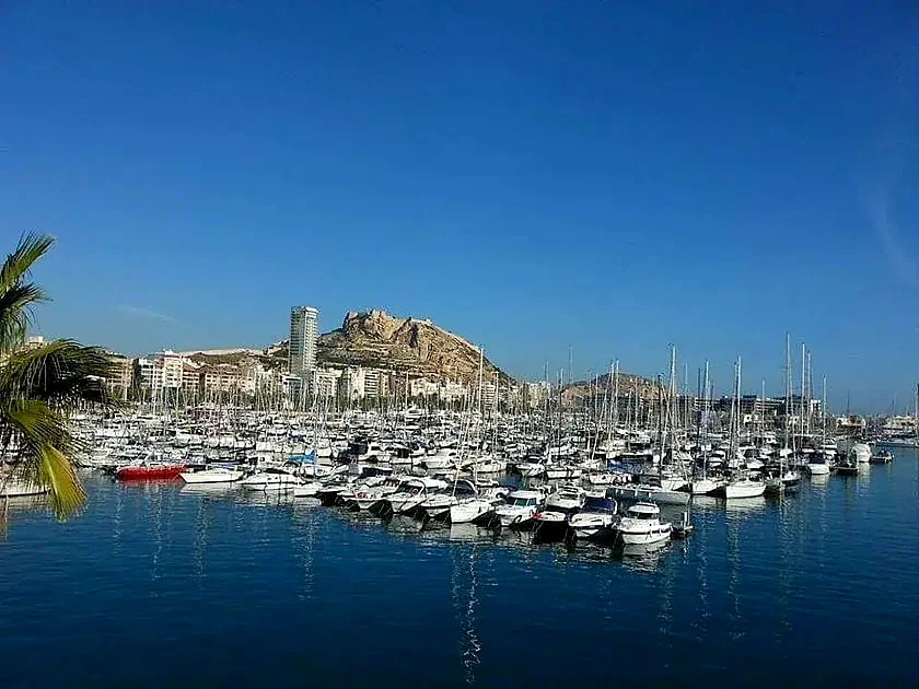 Recreación ilustrativa: Historia, leyendas y curiosidades de Alicante para toda la familia