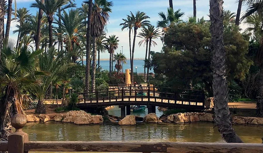 Recreación ilustrativa: En bicicleta por el Palmeral de Alicante