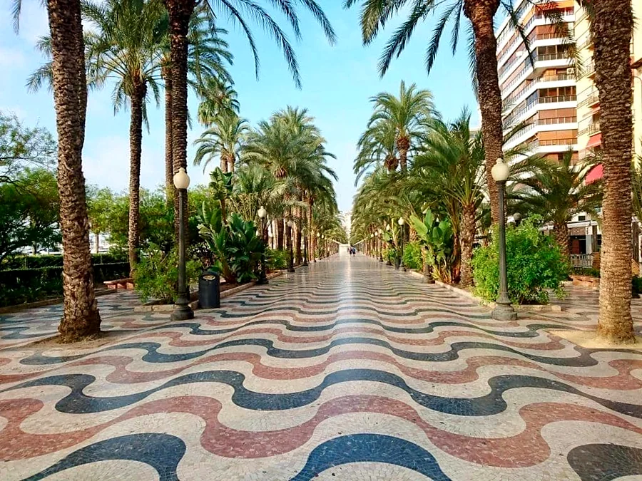 Recreación ilustrativa: Alicante con guía oficial: castillo, casco antiguo y paseo marítimo