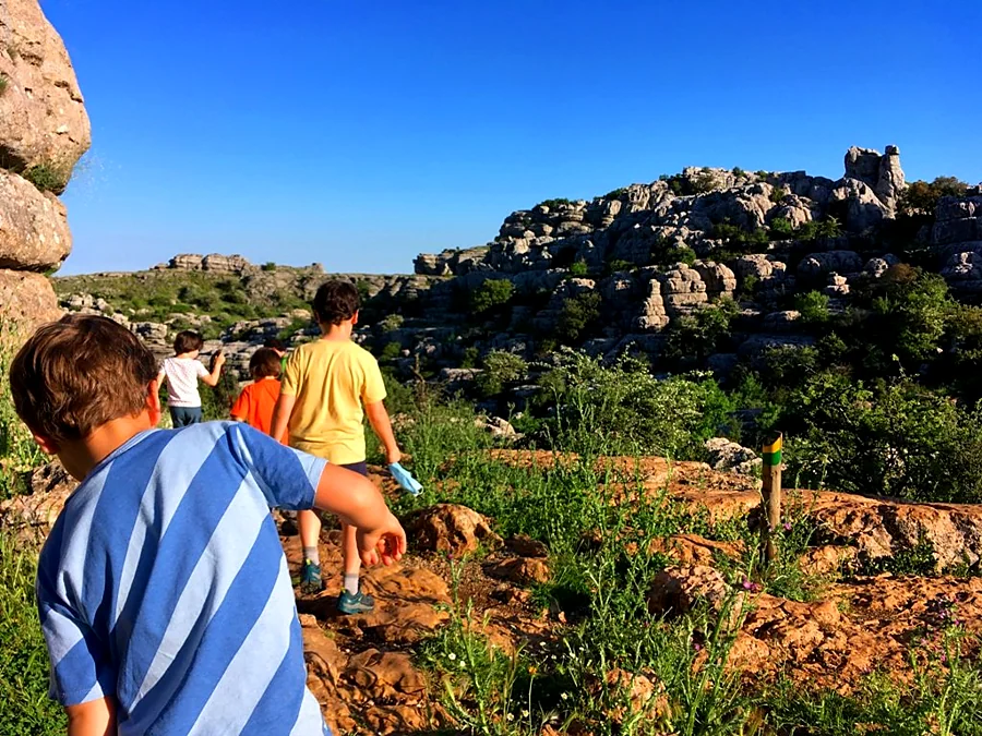 Recreación ilustrativa: El Torcal en Familia: paseo guiado entre fósiles y rocas