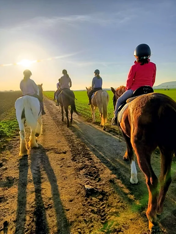 Recreación ilustrativa: Paseo guiado a caballo por Los Llanos de Antequera