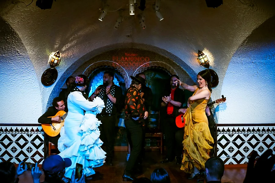 Recreación ilustrativa: Espectáculo de flamenco en Tablao Cordobés