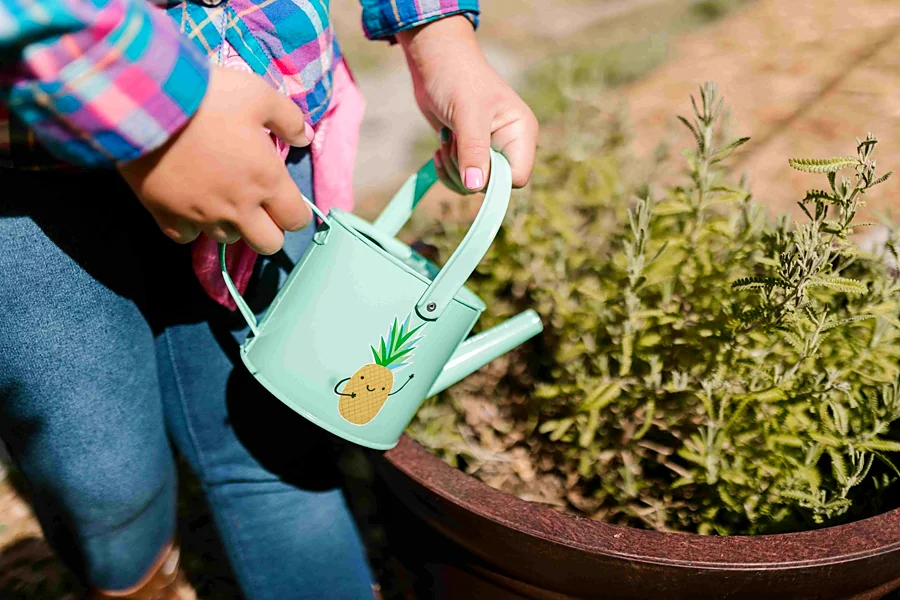 Recreación ilustrativa: Cuidar una planta, cuidar lo que sentimos