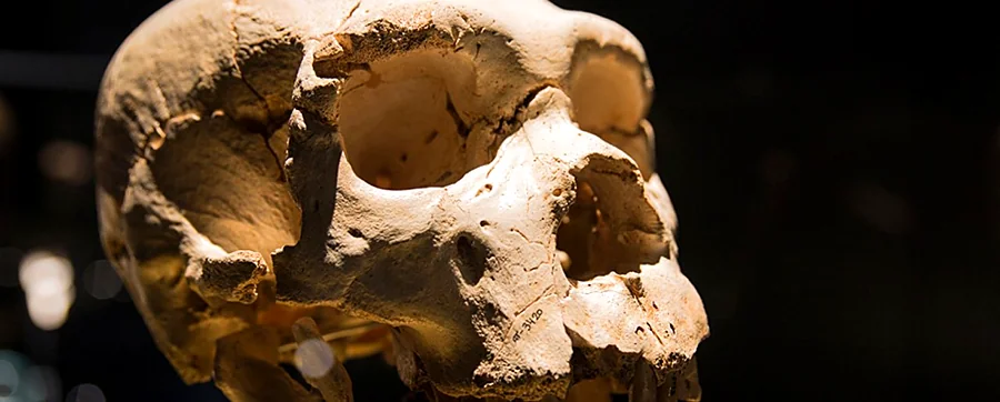 Recreación ilustrativa: El bifaz perdido: investigación prehistórica en el MEH
