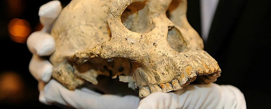 Recreación ilustrativa: Microexplicaciones sobre Atapuerca y la evolución humana
