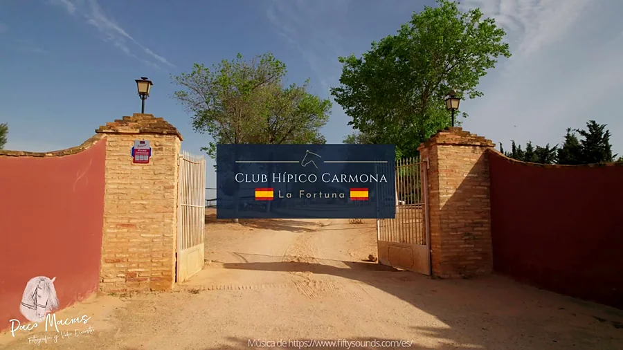 Recreación ilustrativa: Montar a caballo por el campo de Carmona