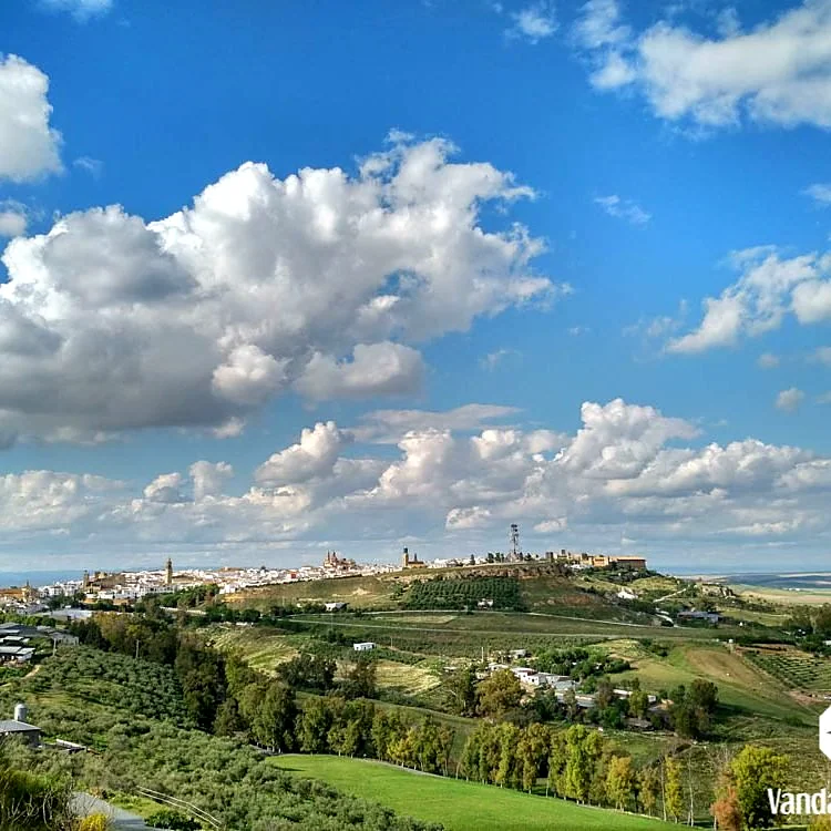 Recreación ilustrativa: Carmona al completo: recorrido privado por sus monumentos