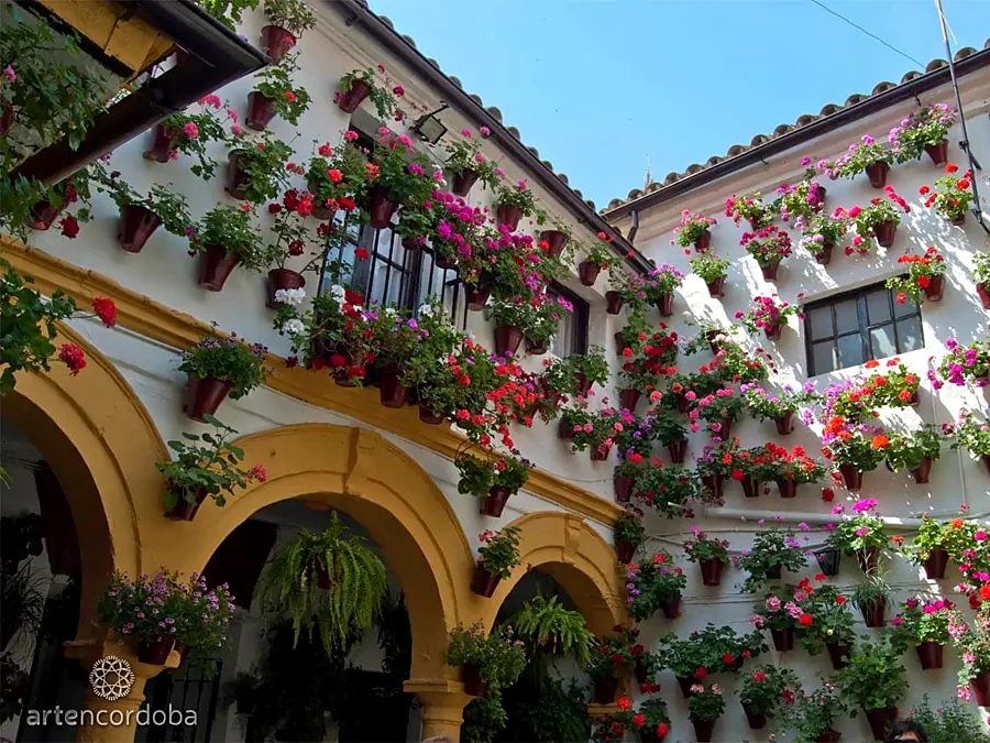 Recreación ilustrativa: Patios cordobeses con guía: historia y vida vecinal