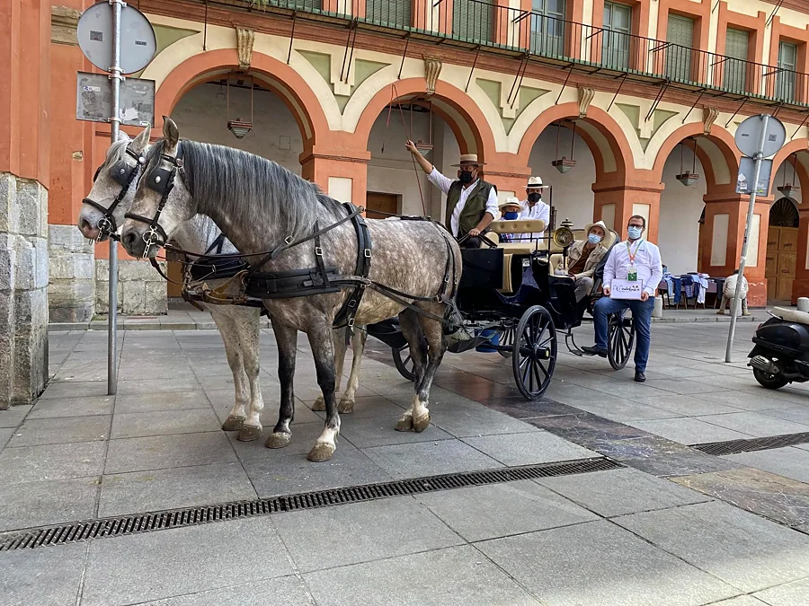 Recreación ilustrativa: Córdoba histórica en coche de caballos con guía oficial