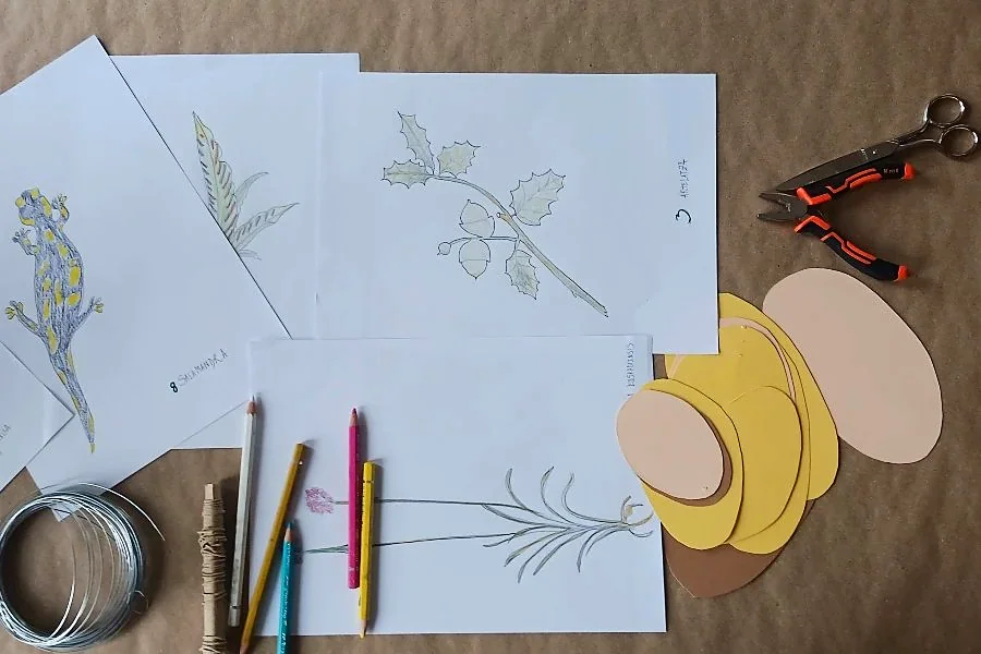 Recreación ilustrativa: Crea un móvil Calder inspirado en la naturaleza de Urgull