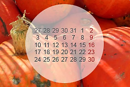 Recreación ilustrativa: Risotto y arroz caldoso