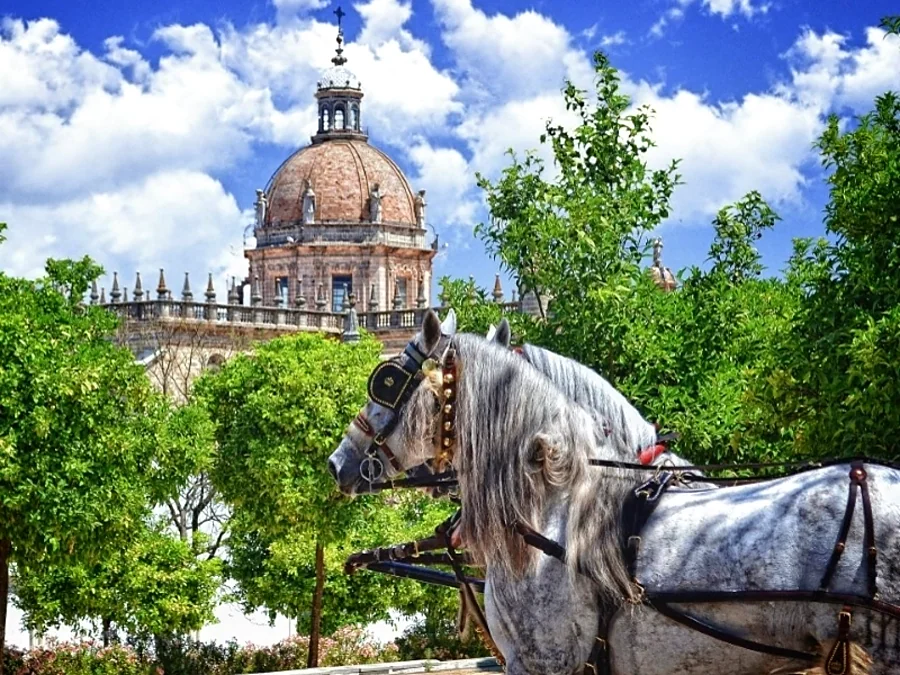 Recreación ilustrativa: Centro histórico de Jerez con guía oficial