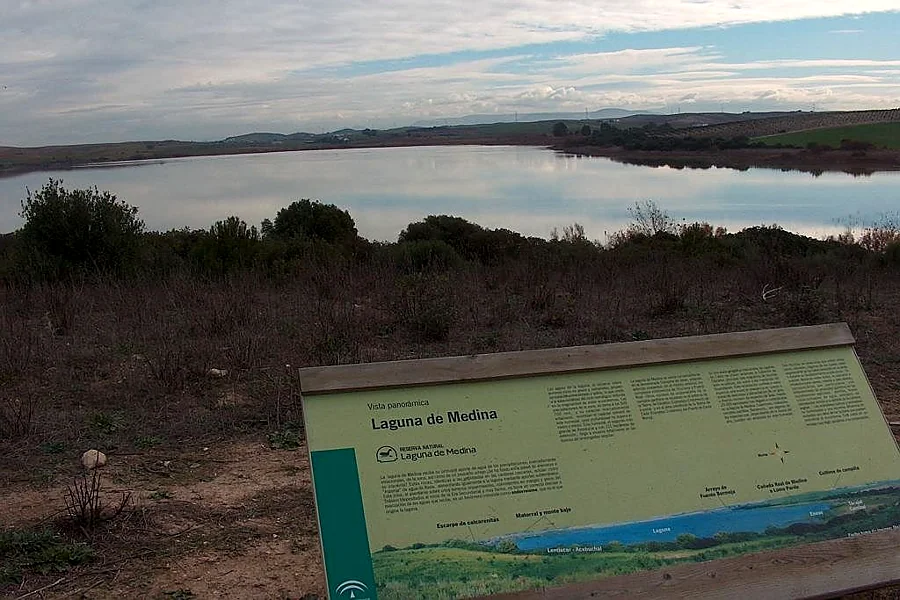 Recreación ilustrativa: Paseo autoguiado por los miradores de la Laguna de Medina