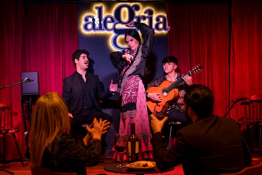 Recreación ilustrativa: Flamenco en directo en el tablao Alegría