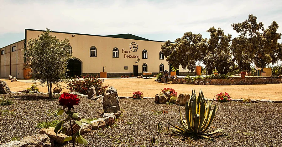 Recreación ilustrativa: Cata de vinos en Bodegas Pozanco