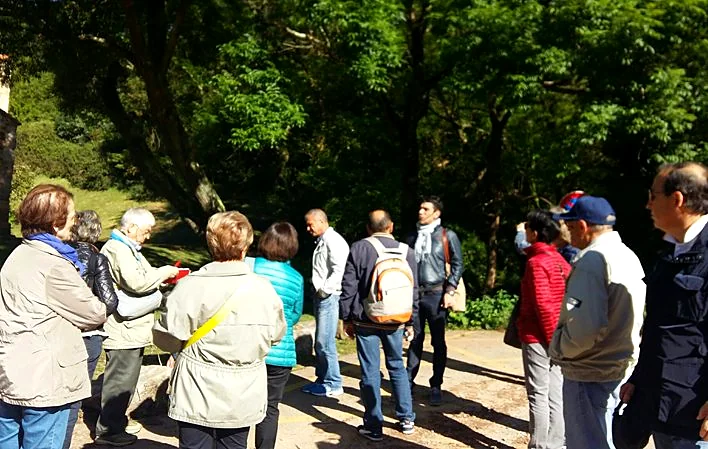Recreación ilustrativa: Visita guiada personalizada por Oviedo con Miguel Ángel Solana