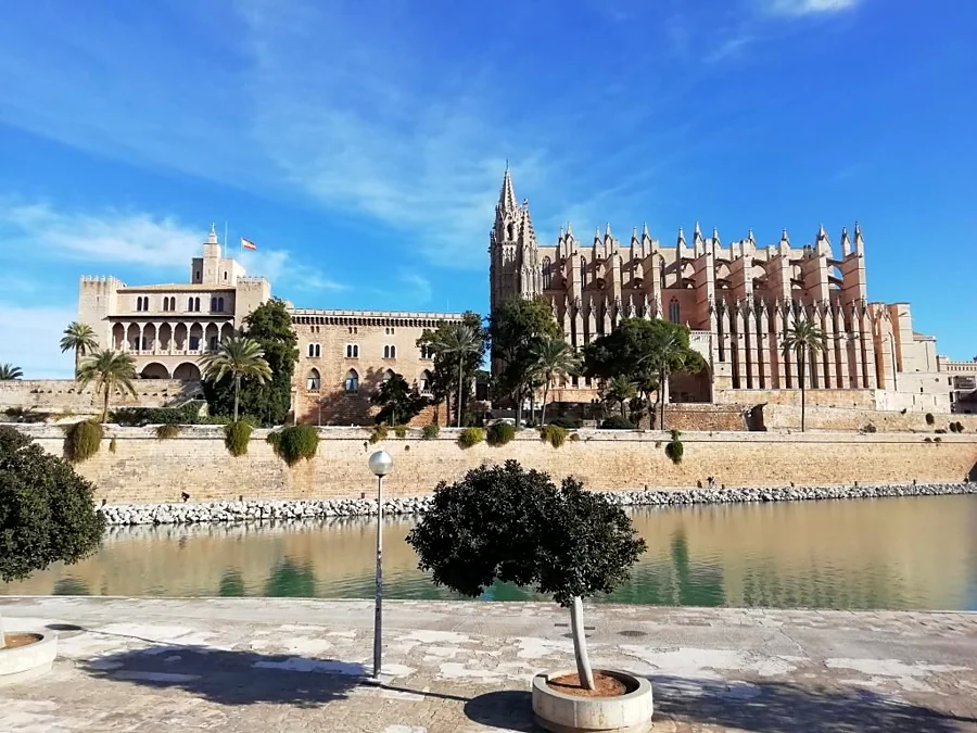 Recreación ilustrativa: Palma Emblemática: casco antiguo con guía oficial