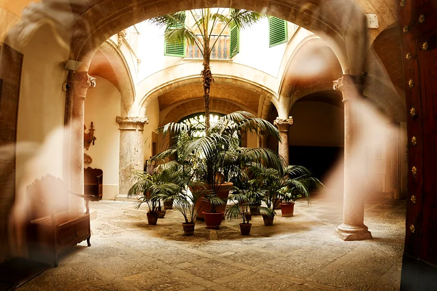 Recreación ilustrativa: Patios señoriales y rincones de Palma con guía