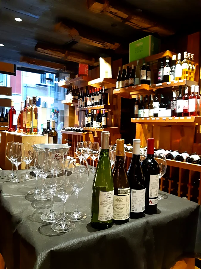 Recreación ilustrativa: Pamplona a pie y cata de vinos de Navarra