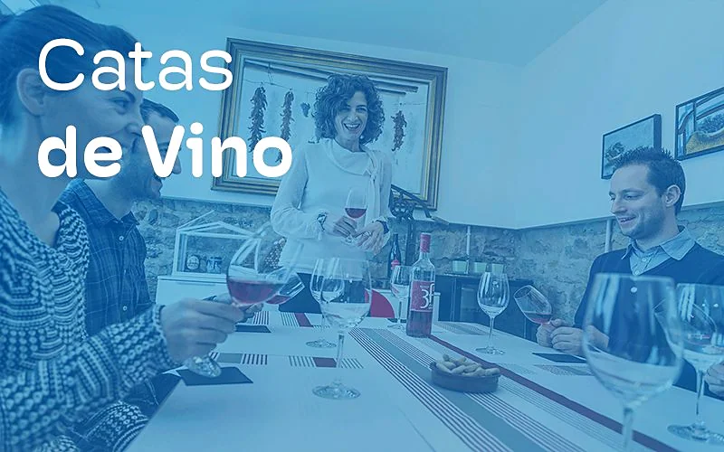 Recreación ilustrativa: Cata de cuatro vinos navarros con aperitivo local