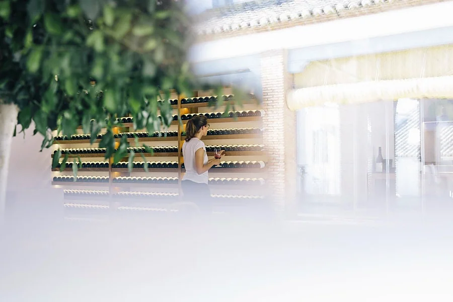 Recreación ilustrativa: Cortijo Los Aguilares: Descubrir la bodega