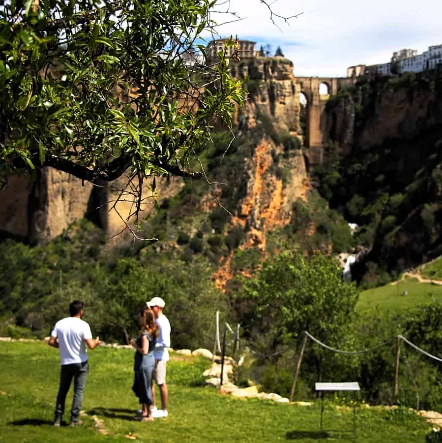 Recreación ilustrativa: Samsara Wines: cata entre viñedos con vistas al Tajo