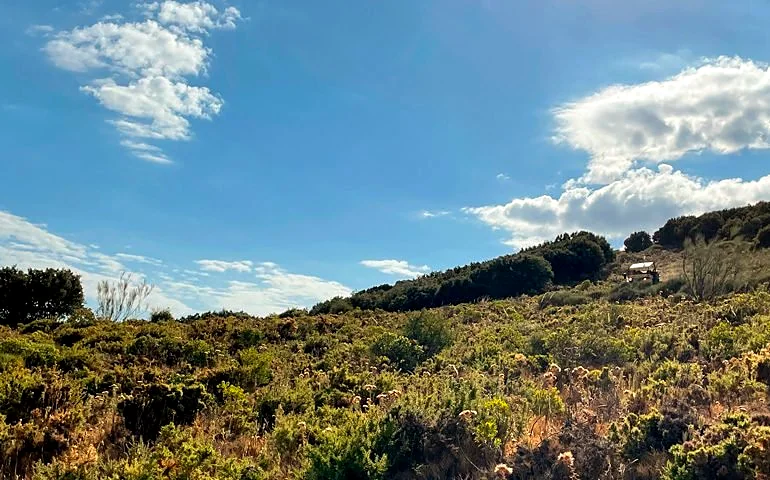 Recreación ilustrativa: La Vuelta: recorrido panorámico en buggy alrededor de Ronda