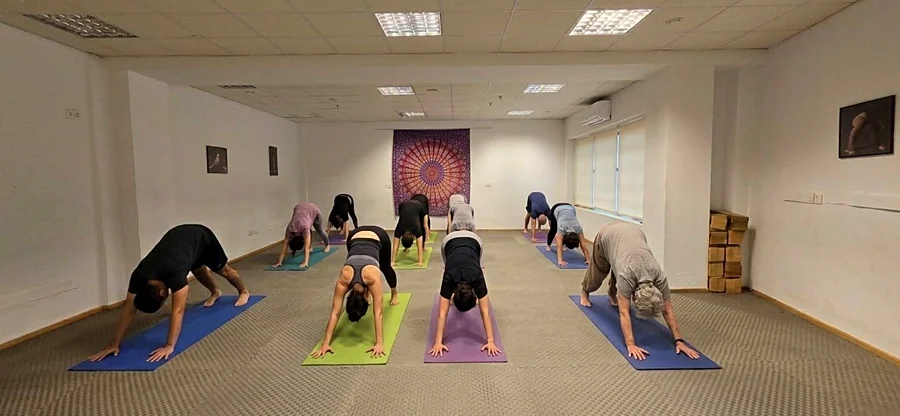 Recreación ilustrativa: Hatha yoga y meditación con Santiago Guerra