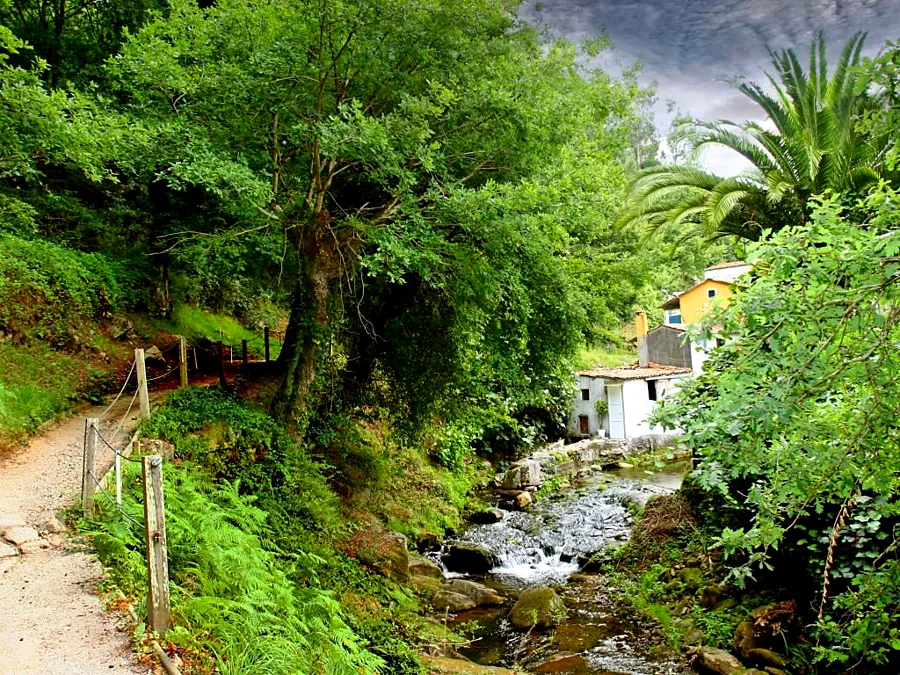 Recreación ilustrativa: Ruta verde por el río Sarela