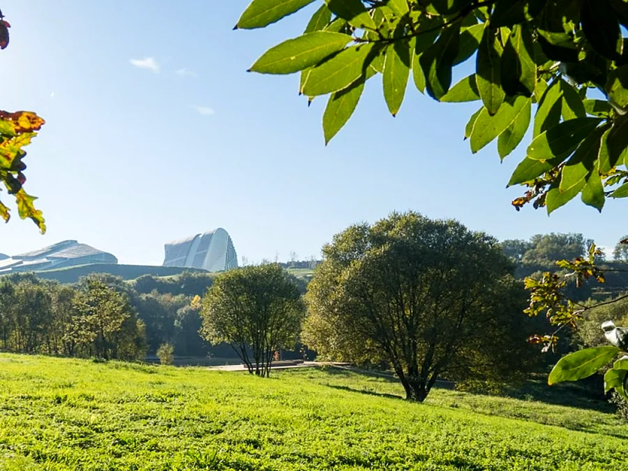 Recreación ilustrativa: Bosque de Galicia, Cidade da Cultura y Parque do Lago