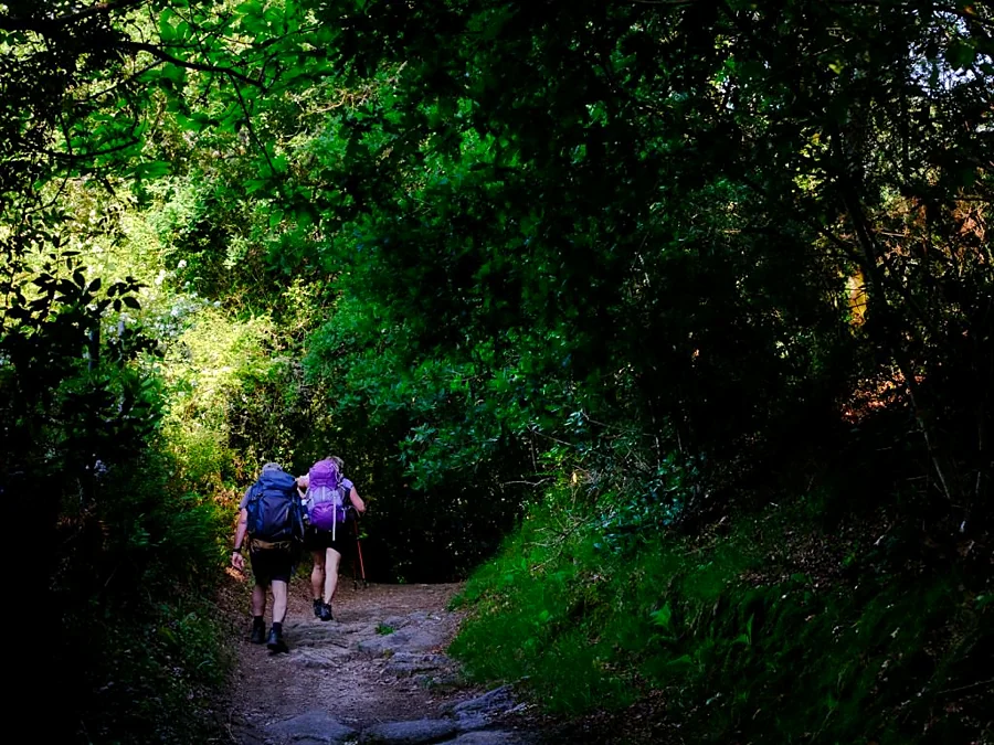 Recreación ilustrativa: Primer tramo del Camino de Fisterra-Muxía desde Santiago