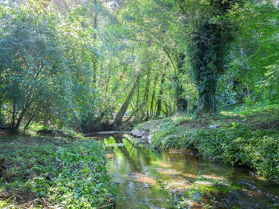 Recreación ilustrativa: Senda del río Sarela aguas arriba