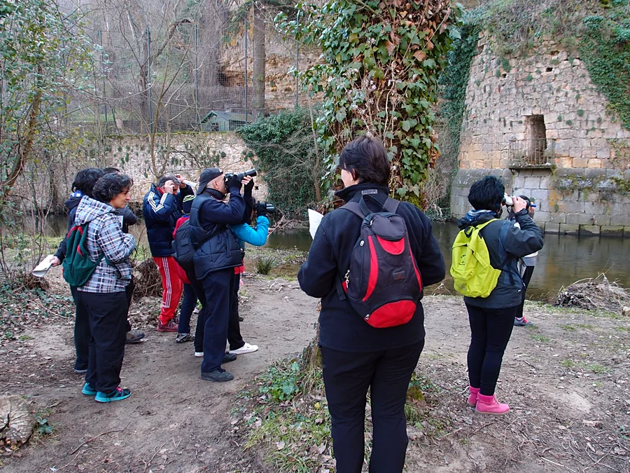 Recreación ilustrativa: Aves de ribera y cantiles en los valles de Segovia