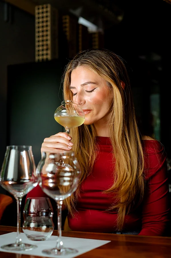 Recreación ilustrativa: Cata de vinos españoles y quesos regionales