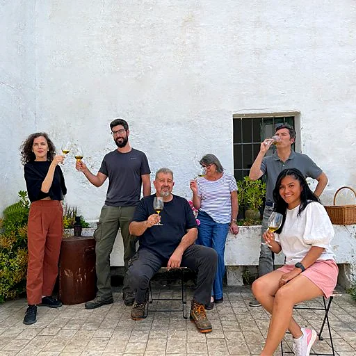 Recreación ilustrativa: Cata de AOVE con pan, queso y vino romano
