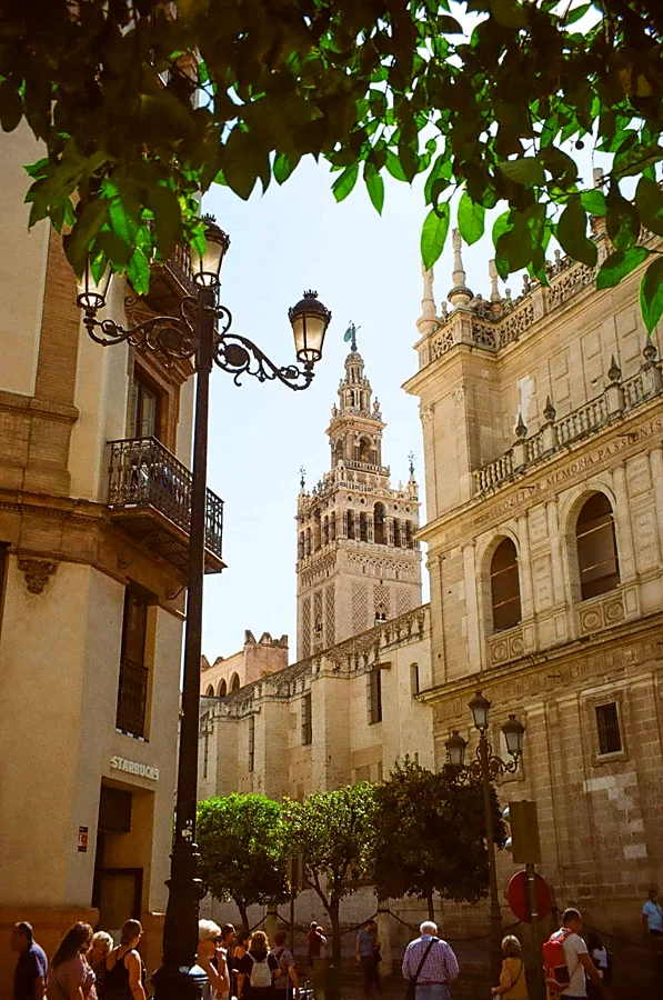 Recreación ilustrativa: Sevilla en calesa: paseo privado con cochero guía
